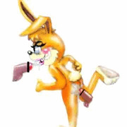 Bunnie