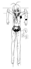 セーラー服・ブルマ(ラフ画)