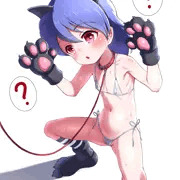猫キャリーさん