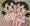 しずかちゃんとコピーロボット