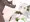 ナヒーダ