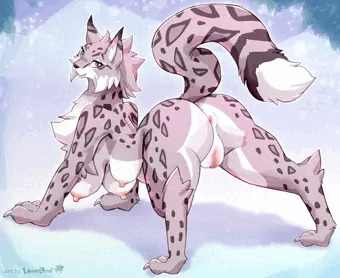 Snow Leopard Lynx