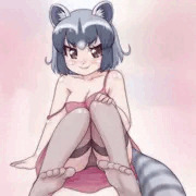 アライさんはじゅくじょもでるもできるのだ