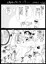 受けてくれる火神くん
