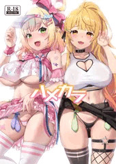【C102新刊】ハメカラ