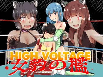 『High Voltage　女豹の檻』