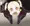 レベッカ