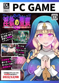 C99新刊3冊目　シスター性感開発ACTゲーム　パッケージ版