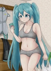 ミクさんの下着