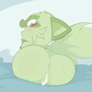 ニャオハ
