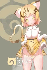 スナネコ