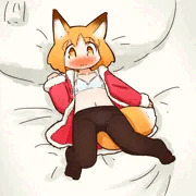 うちのこ