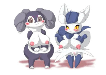 イエッサン♀とニャオニクス♀