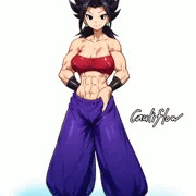 カリフラ2025：ドラゴンボール超