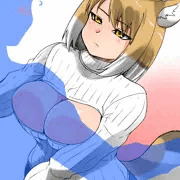 胸しか見てない人には強硬手段も辞さないチベットスナギツネ