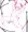 Twitter落書き・ケモめ
