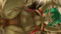 性の悦びに目覚める