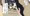 セクハラ怨霊