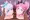 12月生まれスケベキュア
