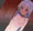 てんこちゃんつかまえた