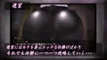 白銀の聖騎士ルナ・グランツ