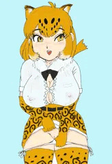 たくしあげジャガーさん