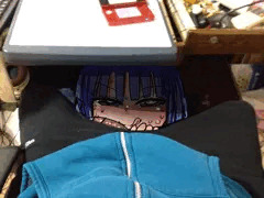 梨花ちゃまが家に来たよ
