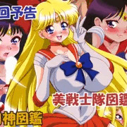 次回作は「美戦士隊図鑑６」です
