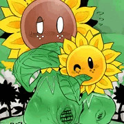 ひまわり
