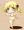 下着姿マミさん