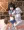 【♂化注意】加古はじめ