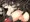 敗北の艦娘　長門