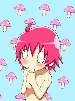 マイタケキノコちゃん【その1】