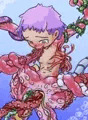 タコ