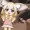 フェネックの赤ちゃんなのさぁ