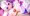性転換のじゃロリ鬼っ娘のえっちな母乳♡【CGノベルサンプル】