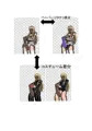 二次元クィーンロード 琴吹 つむぎ編