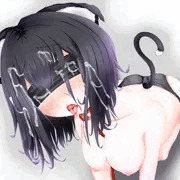 猫拾ってきた