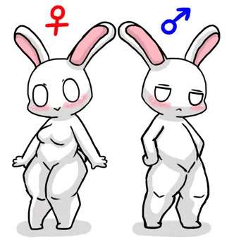 うさぎ