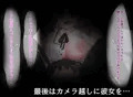 FPSで彼女を寝取られました…