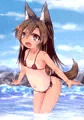 マイクロビキニ影狼ちゃん