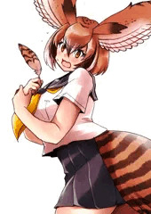 たまたま抜け落ちた羽根を拾って