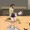 防護服の中身vs流れ者ちんちん