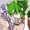 ドラコさん