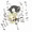 ne