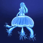 ミズクラゲ