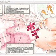 図解　女性器と母体化