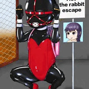 ウサギ小屋