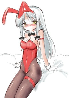 バニー詰め