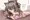夏色まつりちゃんと同棲生活 フェラ＆69編